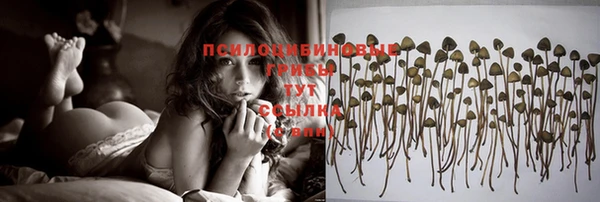 хмурый Армянск