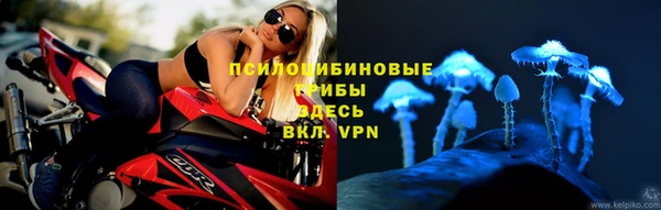 хмурый Армянск