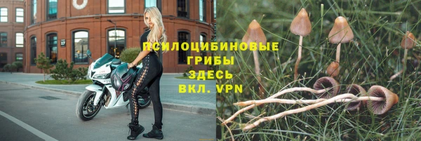 хмурый Армянск