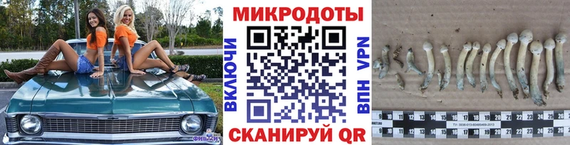 Псилоцибиновые грибы Cubensis  Мелеуз 